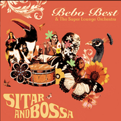 Sitar and Bossa