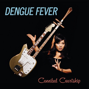 Sister In The Radio by Dengue Fever