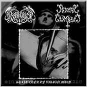 Split Cunt Of Virgin Mary