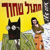 חתול שחור by זאב טנא