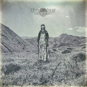 White Lullaby I