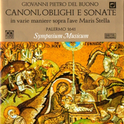 Canoni, Oblighi e Sonate