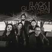 Robar Tu Corazón by Black Guayaba