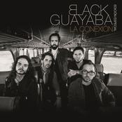 Black Guayaba: La Conexión