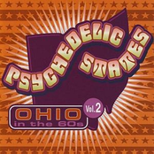 Psychedelic States: Ohio In The 60s Vol 2