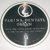 Triumph Of The Flesh I by Vagina Dentata Organ