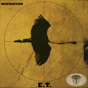MIGRATION