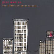 Beautiful Stakes and Powerpoles