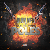 Quin NFN: Poles