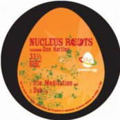 Deep Roots by Nucleus Roots