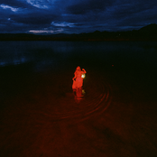 Chokecherry: No Other Place