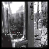 A Relative Moment of Peace