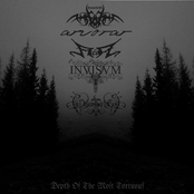 Depth Of The Most Tortuous (Split)