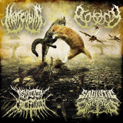 Sadistic Experiments / Mancubus / Asphyxiation Crucifixion / Biotomy (Split)