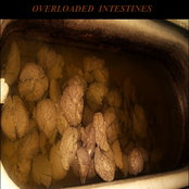 Overloaded Intestines [Demo]