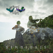 Simbiosis