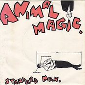 Standard Man by Animal Magic