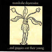 Mandrake Depressive