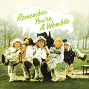 Remember You're A Womble