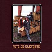 Gato Que Late by Pata De Elefante