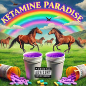 KETAMINE PARADISE