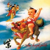 Stone Temple Pilots: Purple (2019 Remaster)