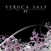 Circular Trend by Veruca Salt