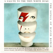 A Salute to the Thin White Duke - The Songs of David Bowie