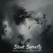 Solitary Musings (The farewell)