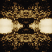 Black Triage (Bonus Track Version)