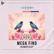 Mega Find