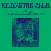Song for Lungwort (lobaria pulmonaria, a large epiphytic lichen)