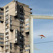 penny​-​-​epic_industries