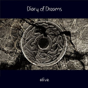 Giftraum by Diary Of Dreams