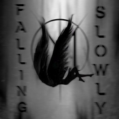 Falling Slowly