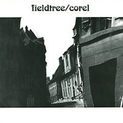 Fieldtree/Corel split 7"