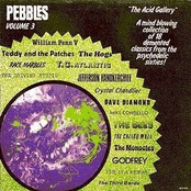 Pebbles Vol. 3