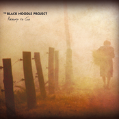 We've Let You Go by The Black Noodle Project