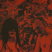 Cult of the Horns / Goatvermin