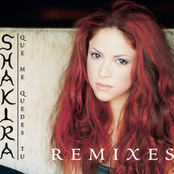 the remixes