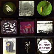 Your Next Life by The Glass Moths