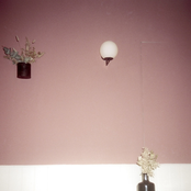 Meshes of the Afternoon