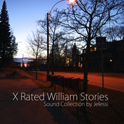 X Rated William Stories