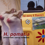 H. pomatia (avistament i xarrup immediat)