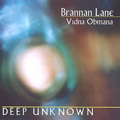 brannan lane & vidna obmana