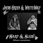 Harp & Slide Blues Sessions