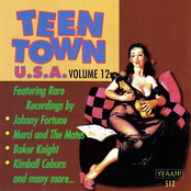 Teen Town Usa (Vol.12)