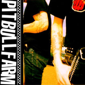 Pitbullfarm