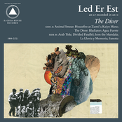 The Diver by Led Er Est