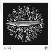 Kujira / Parity